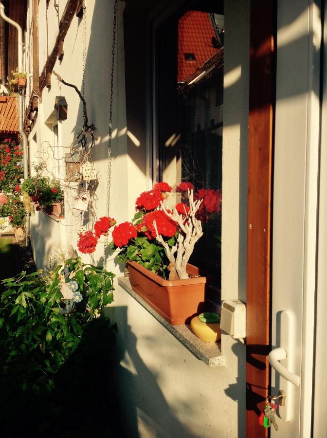 Am Mathildenbrunnen Klein Apartamento Quedlinburg Exterior foto
